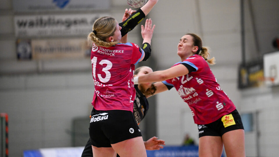 tigers_vs_rostock025_3050_web-960x540