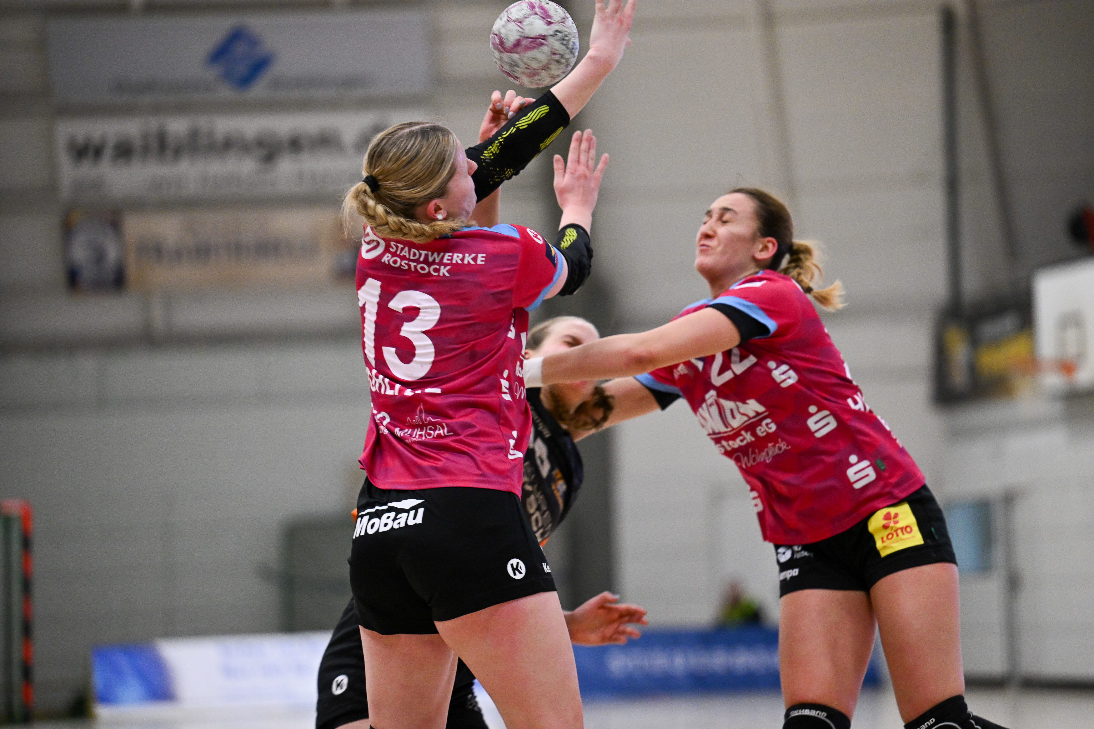 tigers_vs_rostock025_3050_web